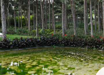 Şirkət olaraq müştərilərimizin fikirlərinə hörmətlə