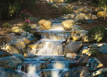 Şirkət olaraq müştərilərimizin fikirlərinə hörmətlə