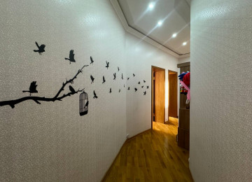 Ekskluziv Təklif ... Münasib QİYMƏT ..!!!