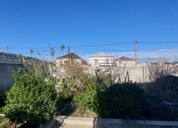 Hovsanda Levenginin Asvalt Yolun Usdunde Marsurutlarin