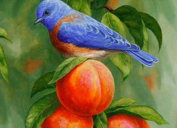 Zinyət Tədris Mərkəzində Rəssamlıq kursları. Rəssamlıq