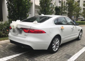 #Jaguar#2021 #bey #gelin #masin #Toy #Nişan və digər