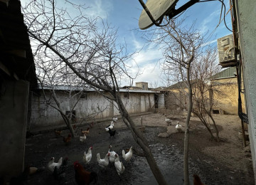 Ramana gülcülük 6 sotda 200kvm 5 otaqli obyektli ev