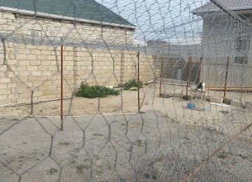 Maştağa Məmmədyarov dairəsi yaxınlığında,Bərəkət marketin