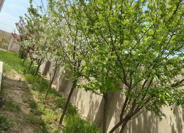 Ramani gulculukde 166 sayli marşrutun son dayanacagina