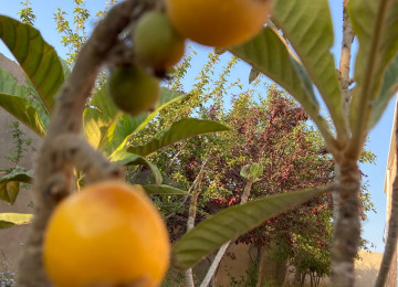 Ramani gulculukde 166 sayli marşrutun son dayanacagina