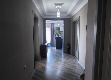 Hovsanda Levenginin Asvalt Yolun Usdunde Marsurutlarin