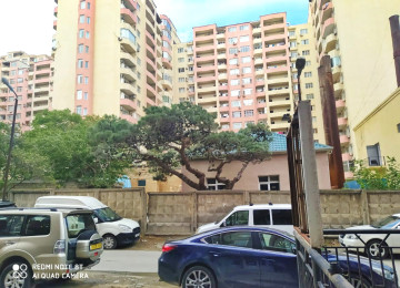 H.Eliyev kucesi, Kimya seherciyinde (Ximqorodok) yerlesen