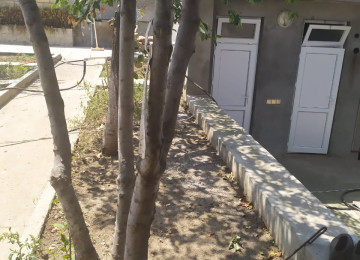 Gəncə şəh.Gülüsdan qəs.14 nömrəli məktəb yaxınlıqında.(