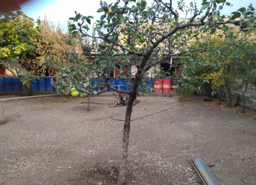 Gəncə şəh.Gülüsdan qəs.14 nömrəli məktəb yaxınlıqında.(