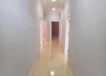 Suraxanı rayonu Hövsan qes. maşın bazarın arxasında 2 sotun