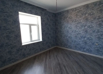 Tecili Novxanı murad marketin yaninda 5 daş kürsüde 100