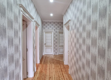 Zabrat qes.307 sayli mektebin yaxinliginda 2 sot yorpaq