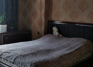 Xlrdalan kOHNE BAZARIN YANI 2 Otaq 3 ce duzelme Menzlin