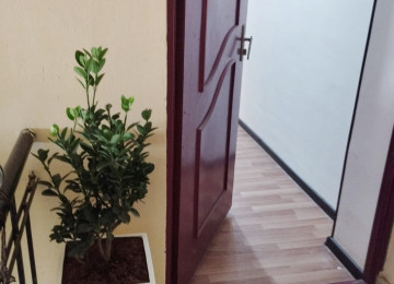 Nerimanov rayonu, Prime Hospital-in yaxinliqi, Asiq Molla