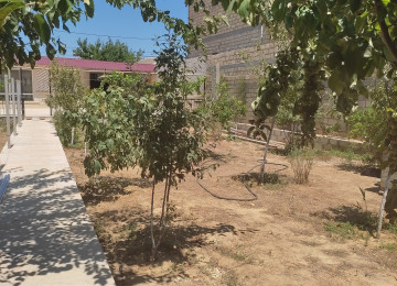 Saray baglarinda 6 sotun içində yeni tikilib təmir olunmuş