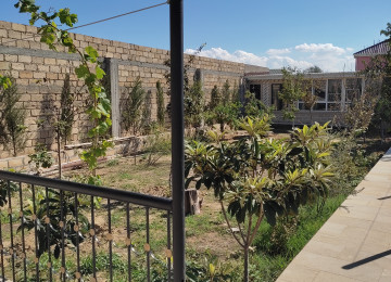 Saray baglarinda 6 sotun içində yeni tikilib təmir olunmuş