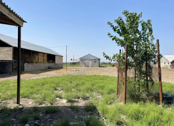 FERMA satılır Celilabad rayonu 100 ha erazisi ve 4.500