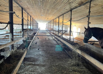 FERMA satılır Celilabad rayonu 100 ha erazisi ve 4.500