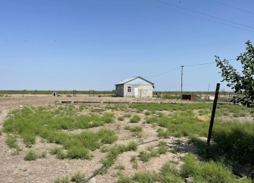 FERMA satılır Celilabad rayonu 100 ha erazisi ve 4.500