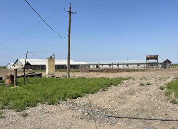 FERMA satılır Celilabad rayonu 100 ha erazisi ve 4.500