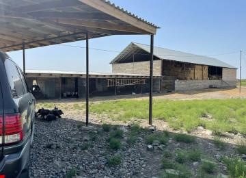 FERMA satılır Celilabad rayonu 100 ha erazisi ve 4.500