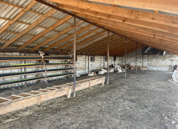 FERMA satılır Celilabad rayonu 100 ha erazisi ve 4.500