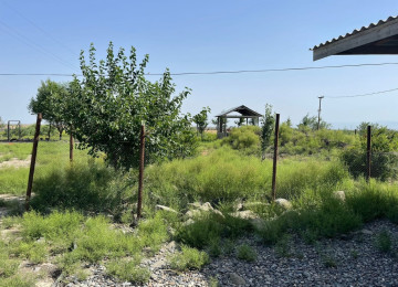 FERMA satılır Celilabad rayonu 100 ha erazisi ve 4.500