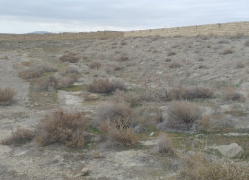 2.4 hektar Dənizə "0" ərazi satılır.Sahil qəsəbəsində