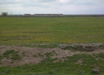 FERMA satılır Celilabad rayonu 200 ha erazisi ve 4.500 kv