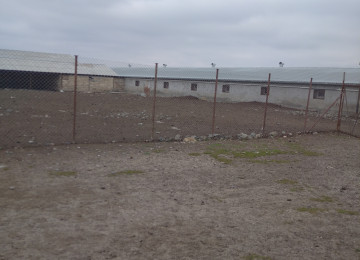 FERMA satılır Celilabad rayonu 200 ha erazisi ve 4.500 kv