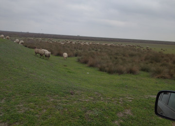 FERMA satılır Celilabad rayonu 200 ha erazisi ve 4.500 kv