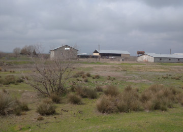 FERMA satılır Celilabad rayonu 200 ha erazisi ve 4.500 kv