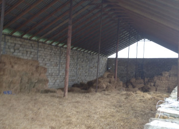 FERMA satılır Celilabad rayonu 200 ha erazisi ve 4.500 kv