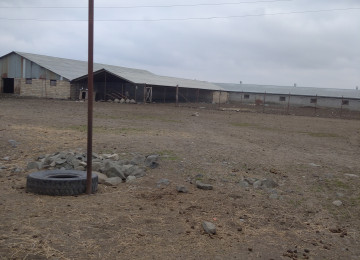 FERMA satılır Celilabad rayonu 200 ha erazisi ve 4.500 kv