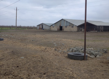 FERMA satılır Celilabad rayonu 200 ha erazisi ve 4.500 kv