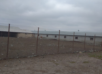 FERMA satılır Celilabad rayonu 200 ha erazisi ve 4.500 kv