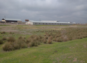 FERMA satılır Celilabad rayonu 200 ha erazisi ve 4.500 kv