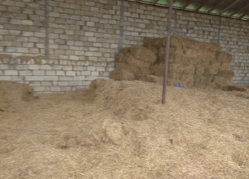 FERMA satılır Celilabad rayonu 200 ha erazisi ve 4.500 kv