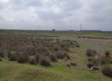 FERMA satılır Celilabad rayonu 200 ha erazisi ve 4.500 kv