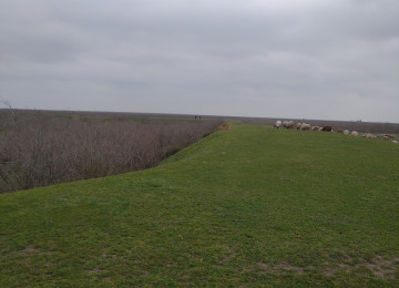 FERMA satılır Celilabad rayonu 200 ha erazisi ve 4.500 kv