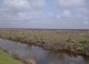 FERMA satılır Celilabad rayonu 200 ha erazisi ve 4.500 kv