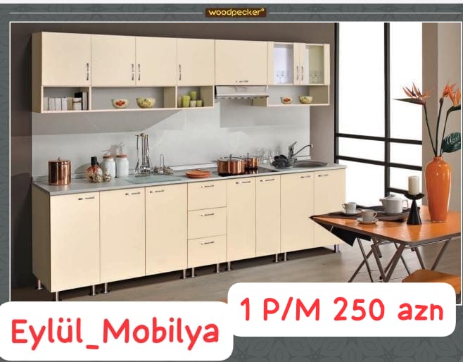 sekilde yazilan qiymet paqonmetr qiymetidir.Sifaris ile