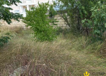 Quba şəhəri aeroport ərazisində hasara alınmış, 7,5 sot