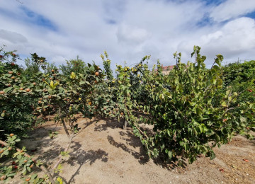 Zabrat qesebesinin merkezinde, mektebe,baxcaya yaxin , 4