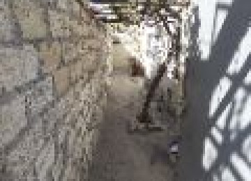 Bileceride ag sarayin yaninda 2 otaqli heyet evi tecili