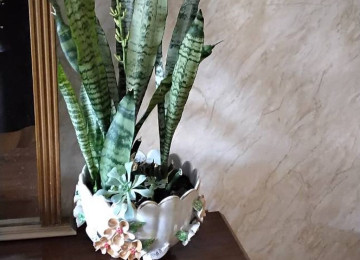 həm &ouml;&uuml; g&ouml;zəl,həm qabı g&ouml;zəl