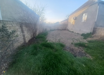 Bine safxoz samsung magazasin yaninda 4 sotda 8 das kursulu