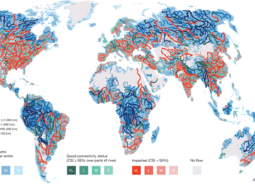 Zinyət Tədris Mərkəzində ArcGİS Proqramından dərslər 10