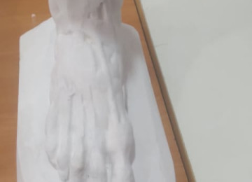 Zinyət Tədris Mərkəzində Akademik səviyyədə qabiliyyət